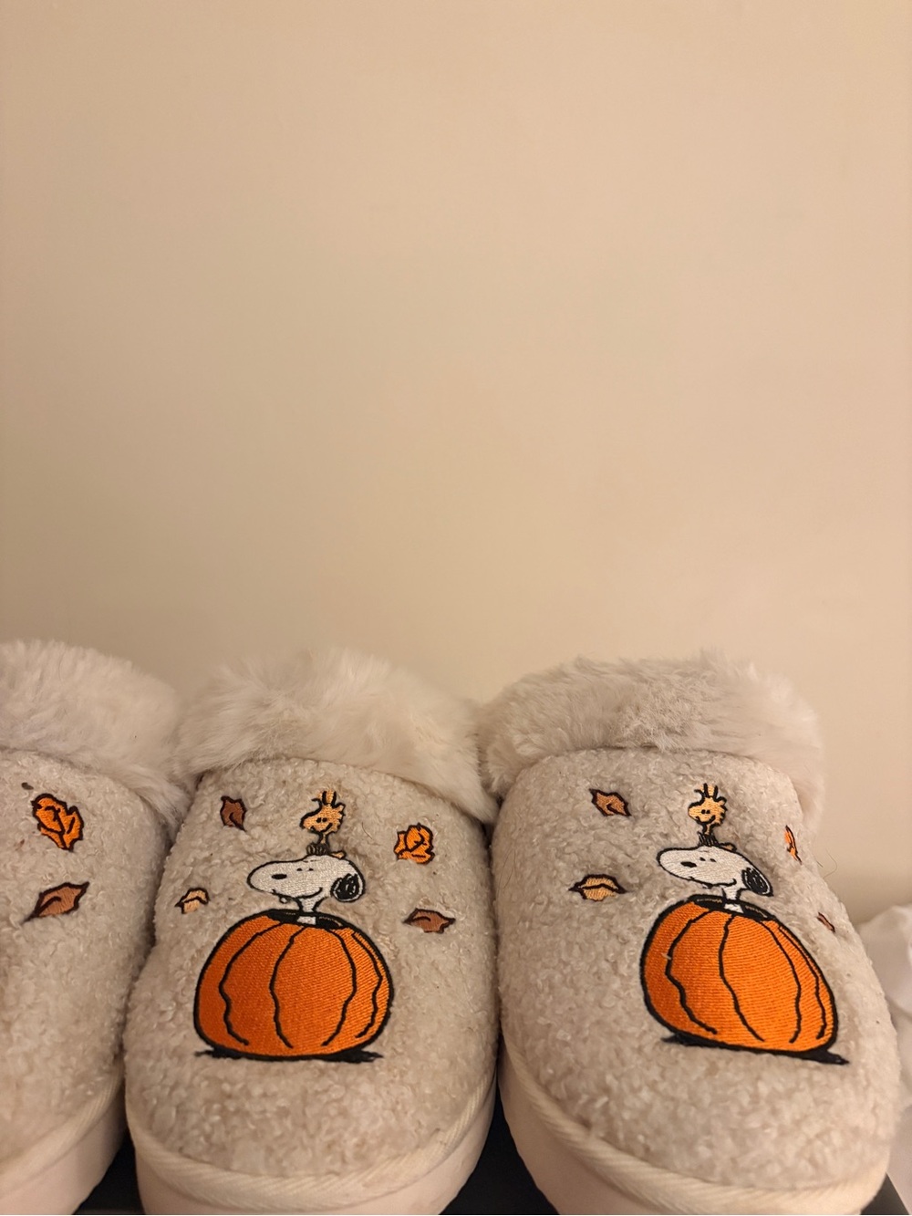 Snoopy and woodstock slippers